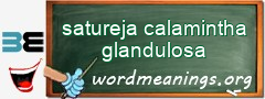 WordMeaning blackboard for satureja calamintha glandulosa